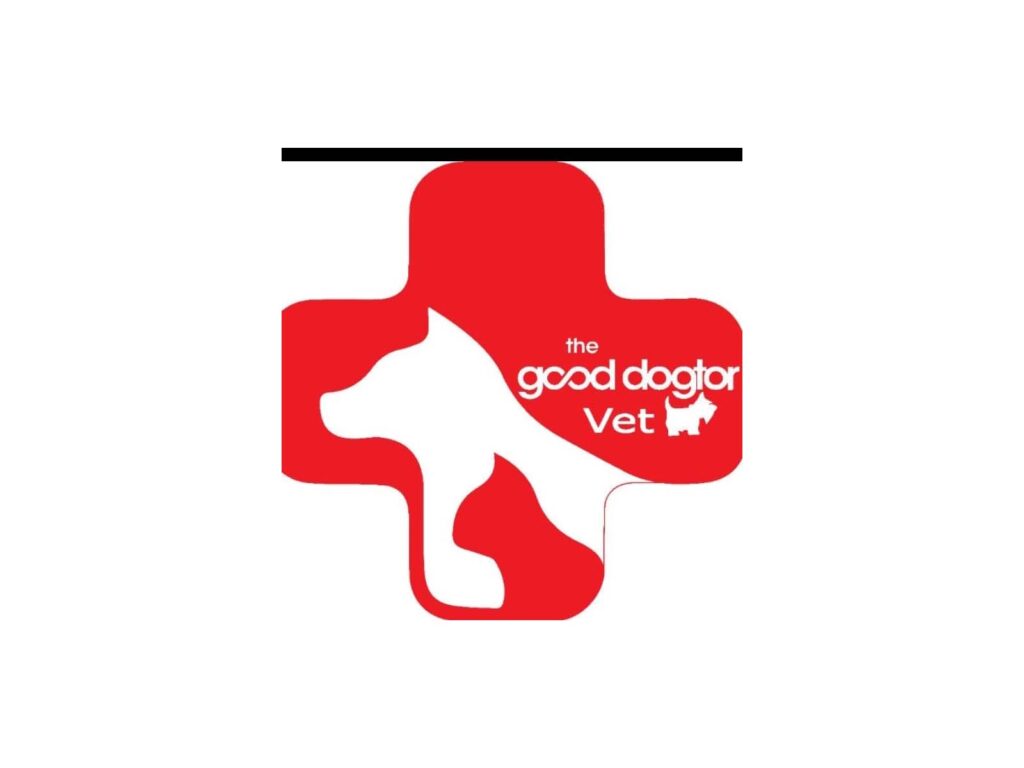 237602493_115790640804754_6452984820413799974_n