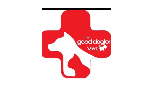 237602493_115790640804754_6452984820413799974_n