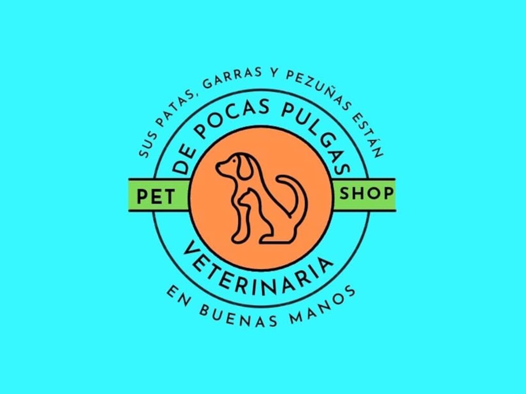 271192005_403313351585899_3755783819267244027_n