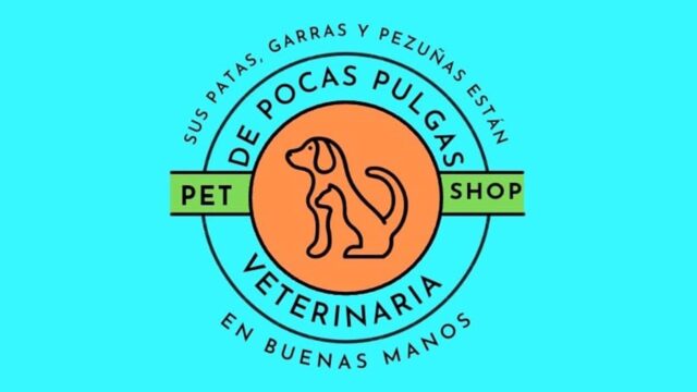 271192005_403313351585899_3755783819267244027_n