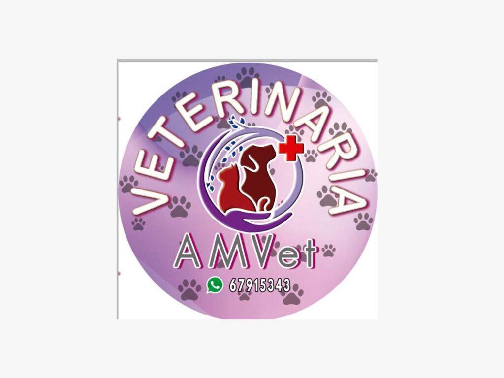 275288578_130457619506573_3975235636192596351_n