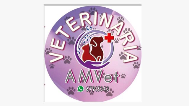 275288578_130457619506573_3975235636192596351_n