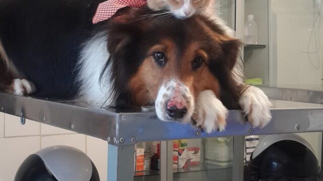 275298538_351121593694045_157578877069058565_n