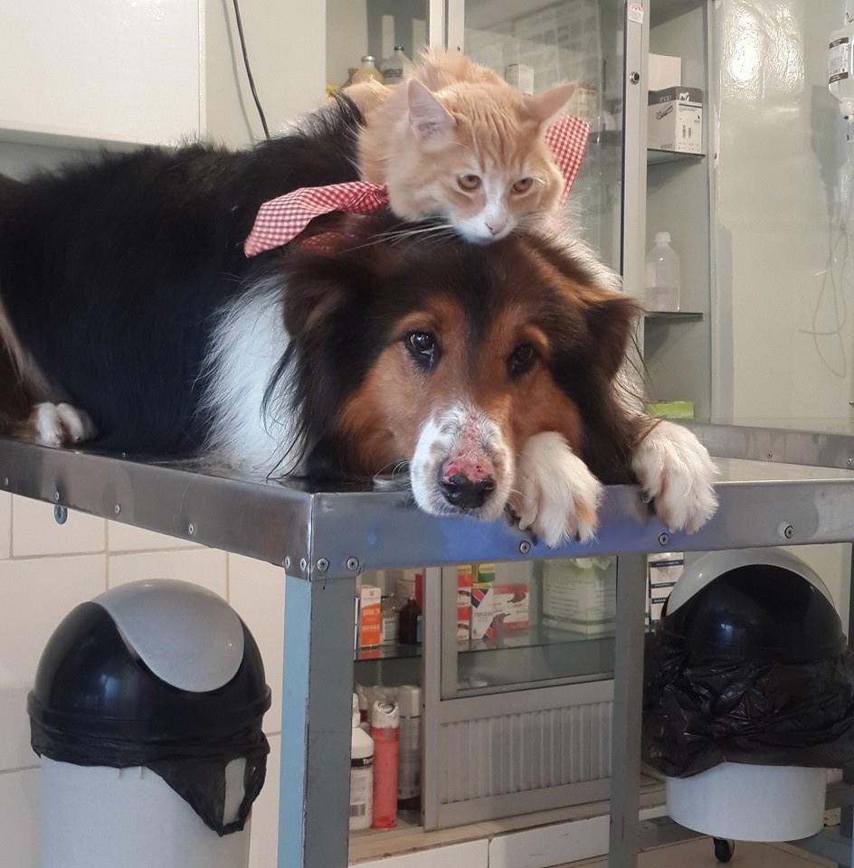 275298538_351121593694045_157578877069058565_n