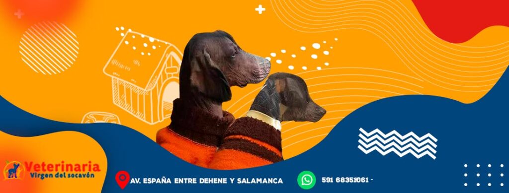 300777916_413095430922236_223676540661440441_n