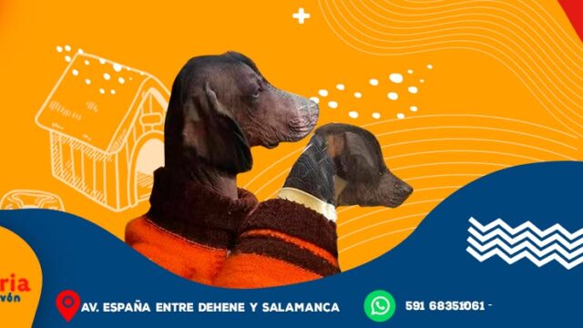 300777916_413095430922236_223676540661440441_n