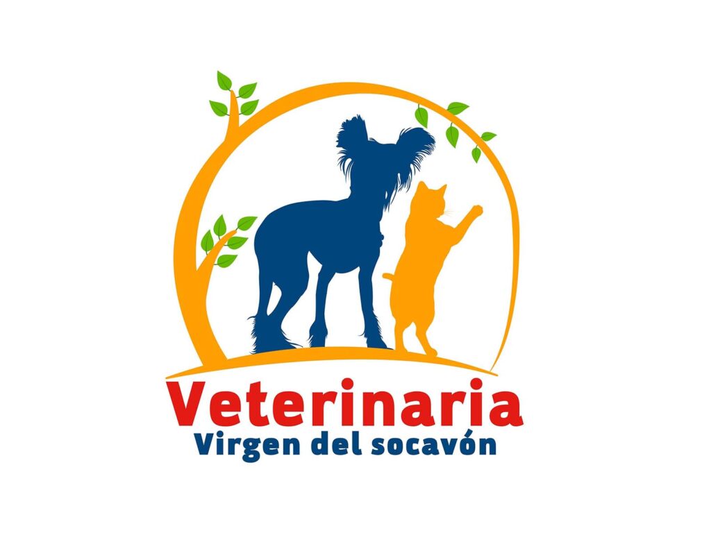 301692891_413095427588903_8238875718546053686_n