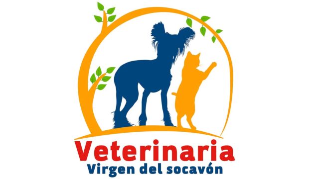 301692891_413095427588903_8238875718546053686_n