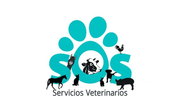 302137299_944420006490587_3759843855075517185_n