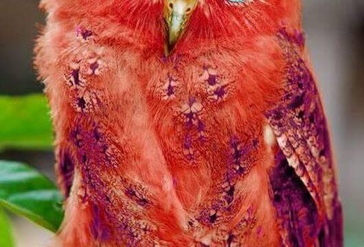 302318784_603756234785835_2621133223769283722_n