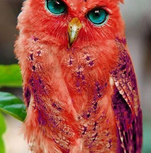 302318784_603756234785835_2621133223769283722_n