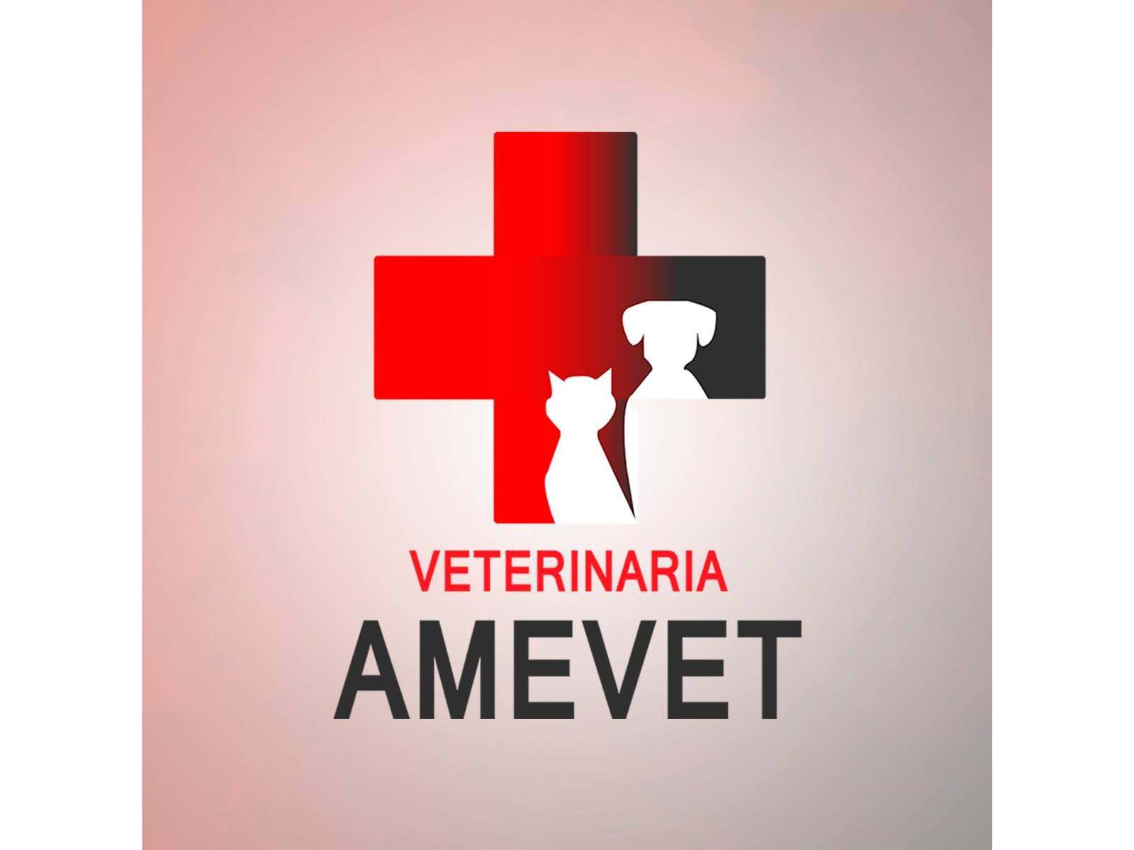 303499392_436074415207526_8812805230927306429_n