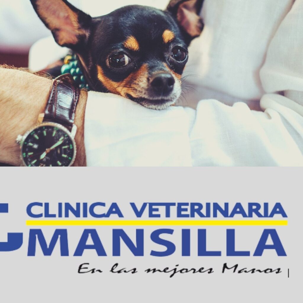 304834784_596335438586890_7803193004730992581_n