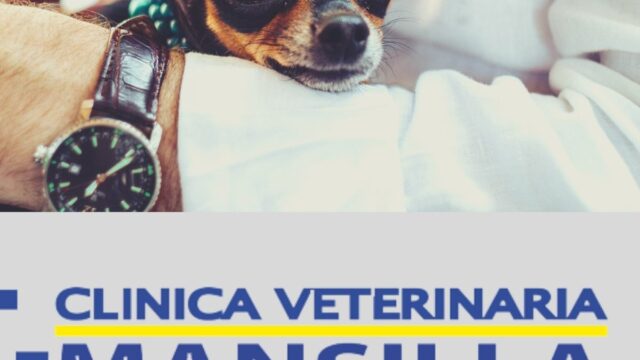 304834784_596335438586890_7803193004730992581_n