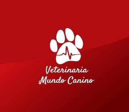 308125410_451768833601632_5779760649726515527_n