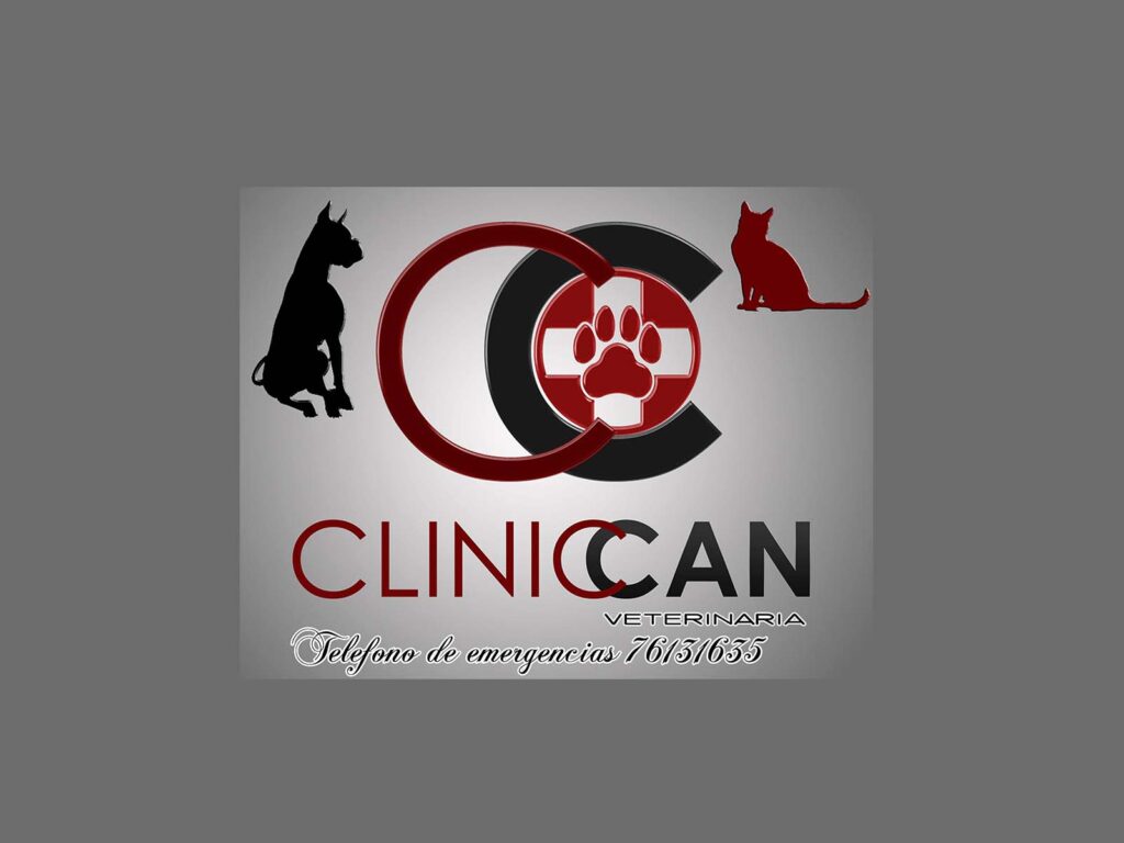 308627175_151550470896997_9031390142642404215_n