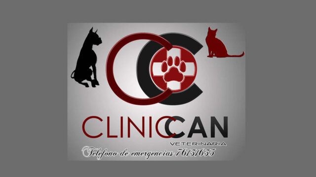 308627175_151550470896997_9031390142642404215_n