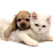 361350888_820089103146928_7466621375932754720_n