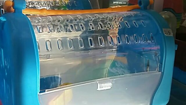 36641762_528861060864188_3125088594788614144_n