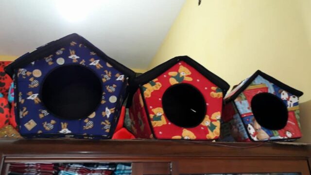 37230991_540723973011230_7784529628730753024_n