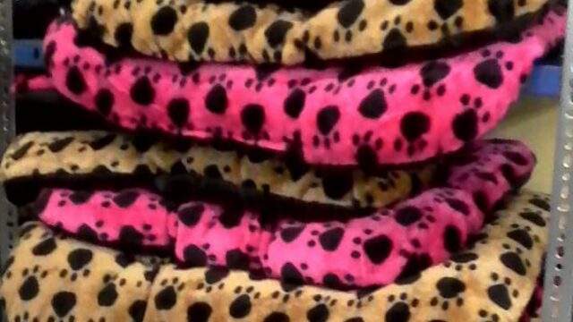 37397698_540723919677902_3451909531267760128_n