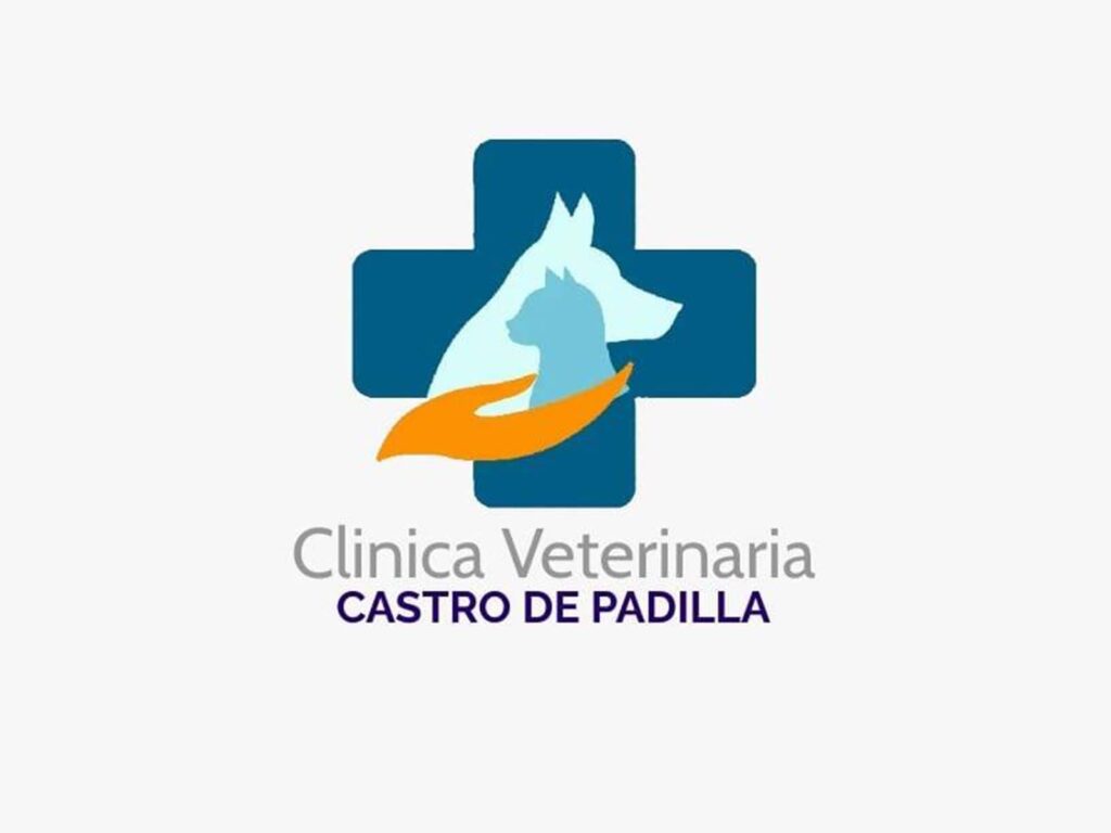 421439975_858480242954003_998671916690262021_n