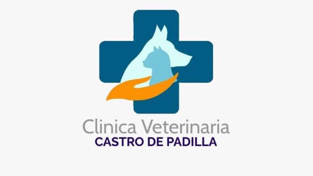 421439975_858480242954003_998671916690262021_n