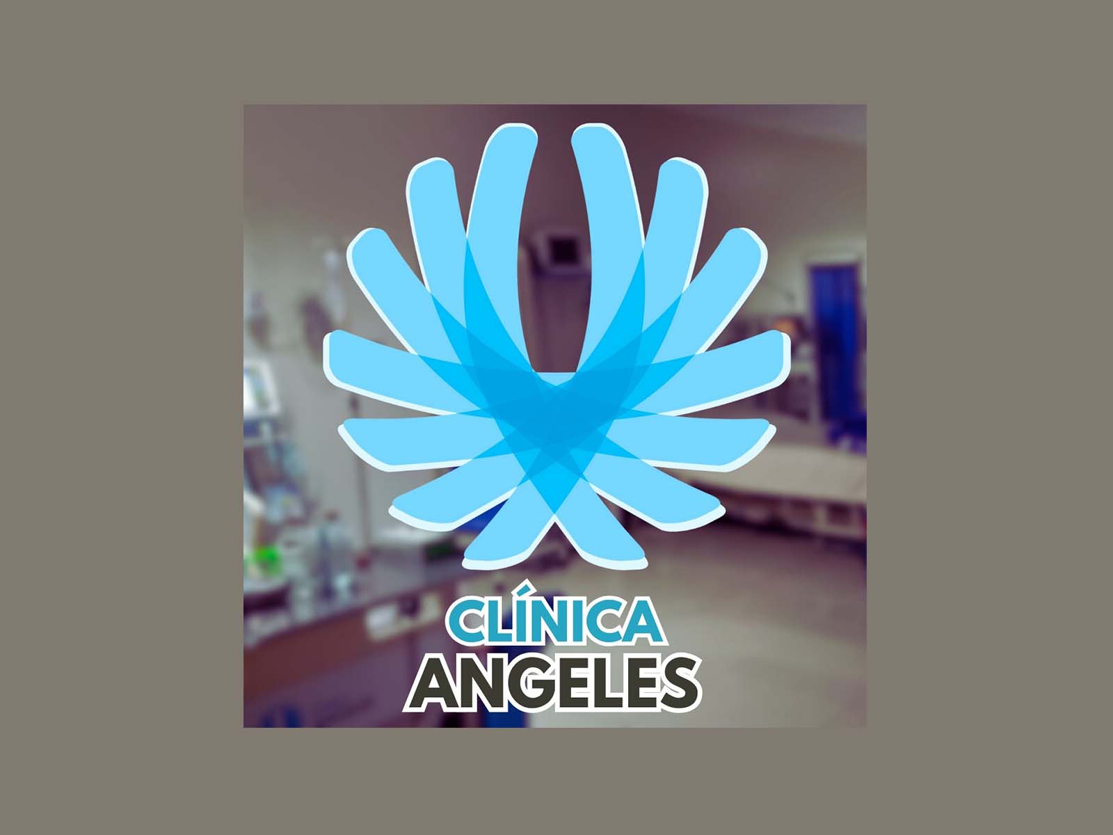 454830467_1038741211593265_370750148827314820_n