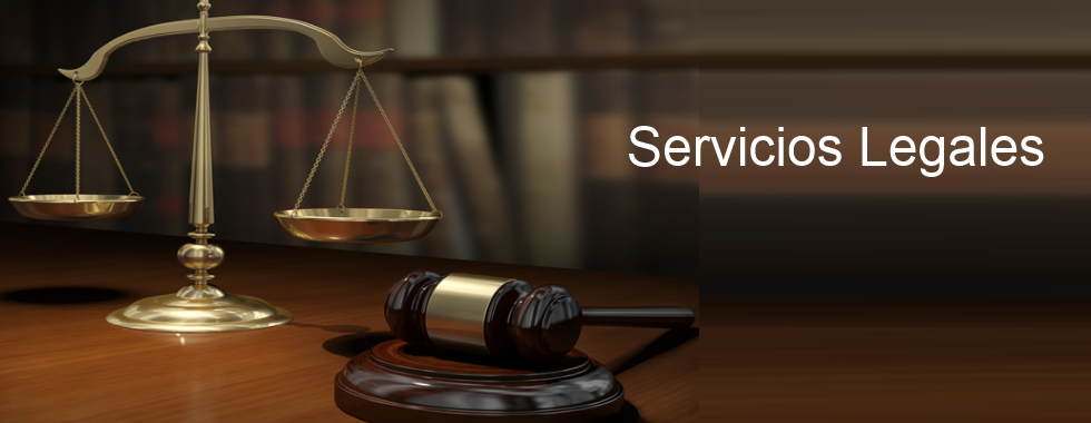 459057717_2331201633938487_8857547404961095902_n