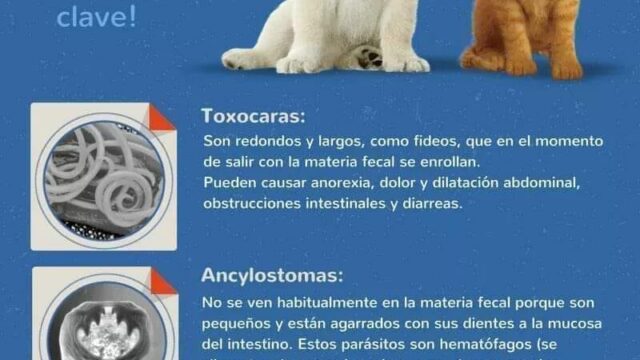 466974545_1076375720635459_3050357686488690019_n