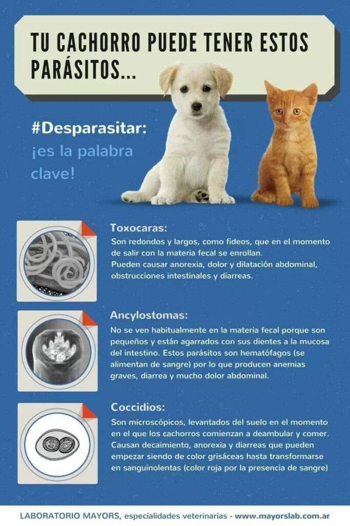 466974545_1076375720635459_3050357686488690019_n