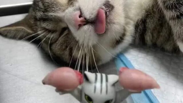 467985651_588083940410603_5436713822237504862_n