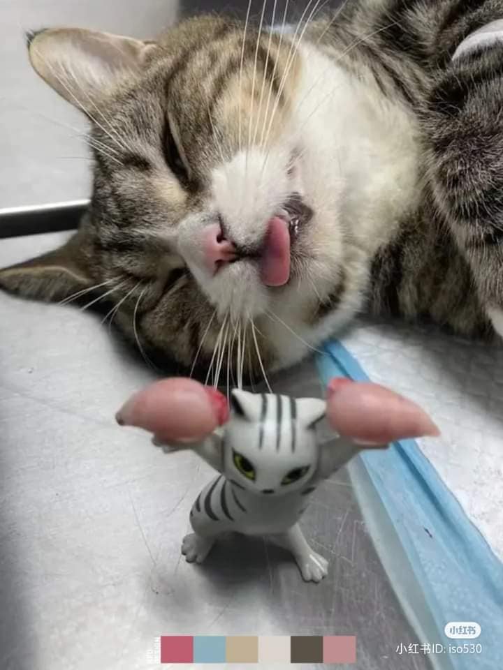 467985651_588083940410603_5436713822237504862_n