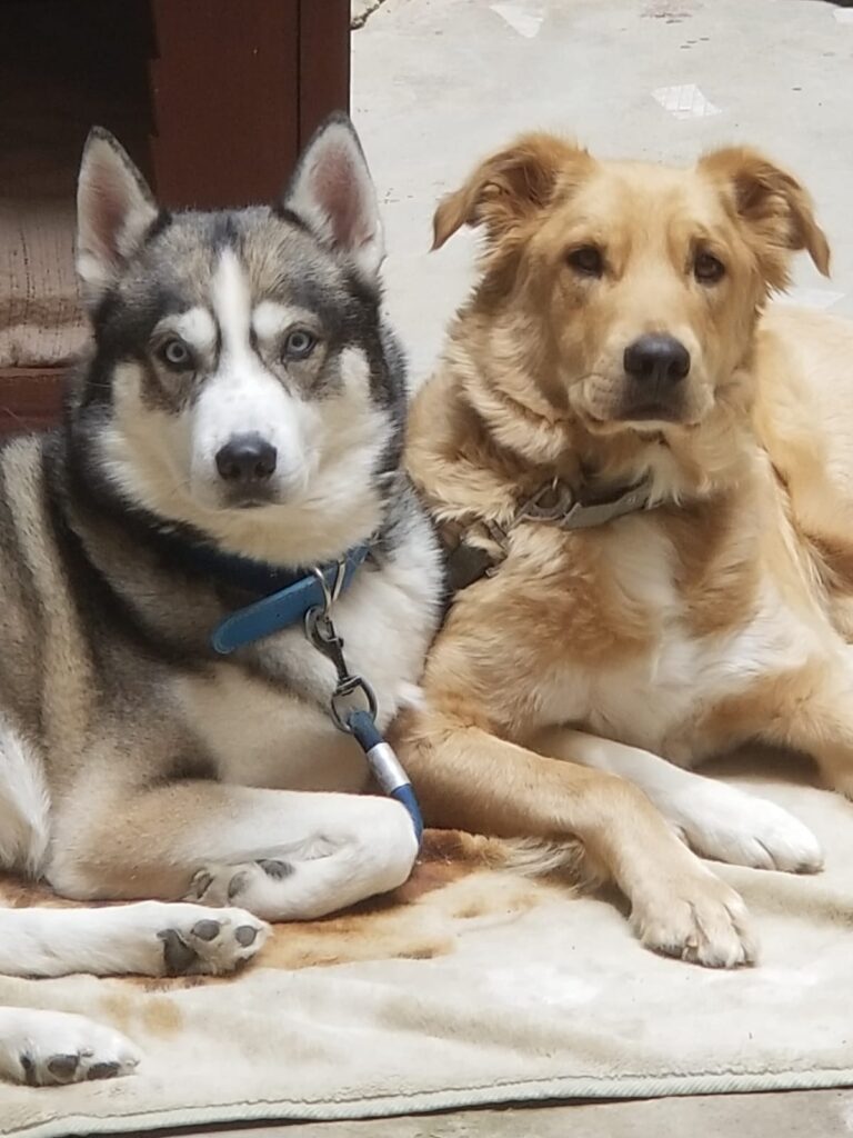 469361620_560065576985176_6793550471256806917_n