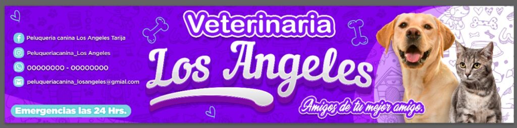 469559886_894013122842146_5018699806861739848_n