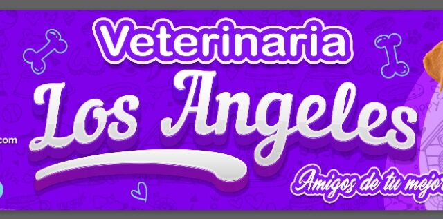 469559886_894013122842146_5018699806861739848_n