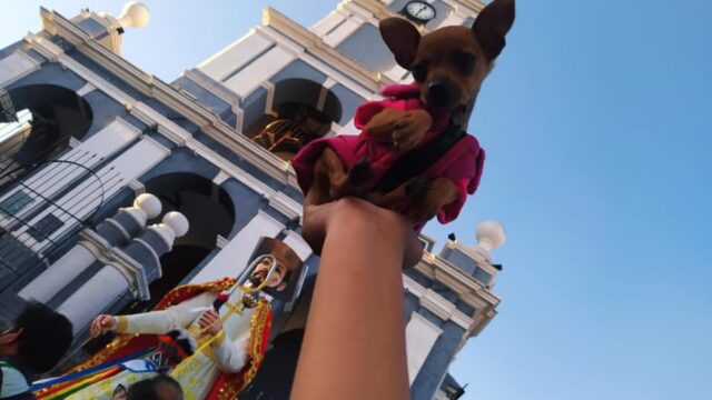 469588672_3408567942783597_4827569878836202214_n