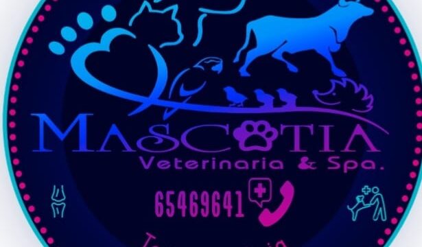 469641816_1136234047855853_3540916480325140092_n