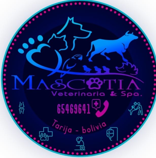 469641816_1136234047855853_3540916480325140092_n