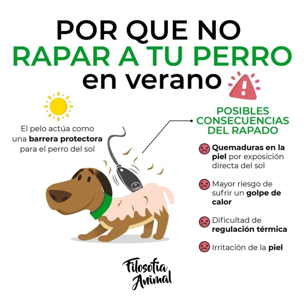 469910763_952331306954280_774035235240902519_n