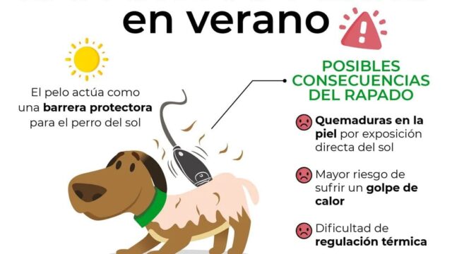 469910763_952331306954280_774035235240902519_n