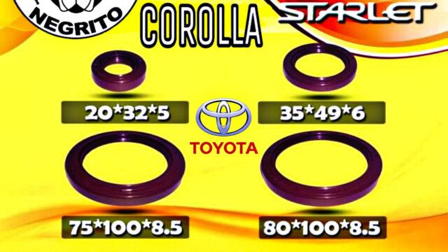 470168058_1118456569910916_3412256930129989937_n