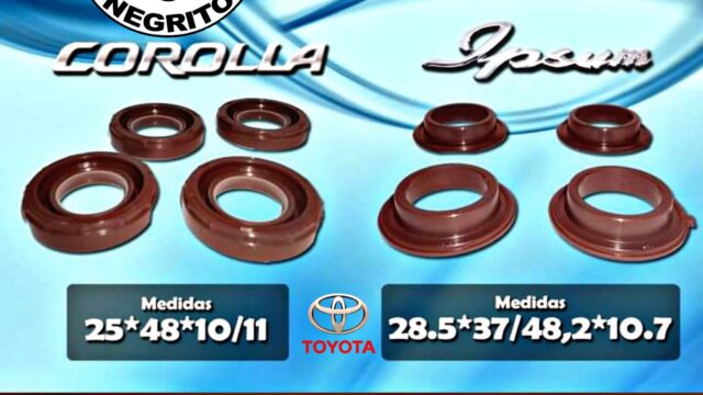 470196447_1118456479910925_7835435028374672373_n