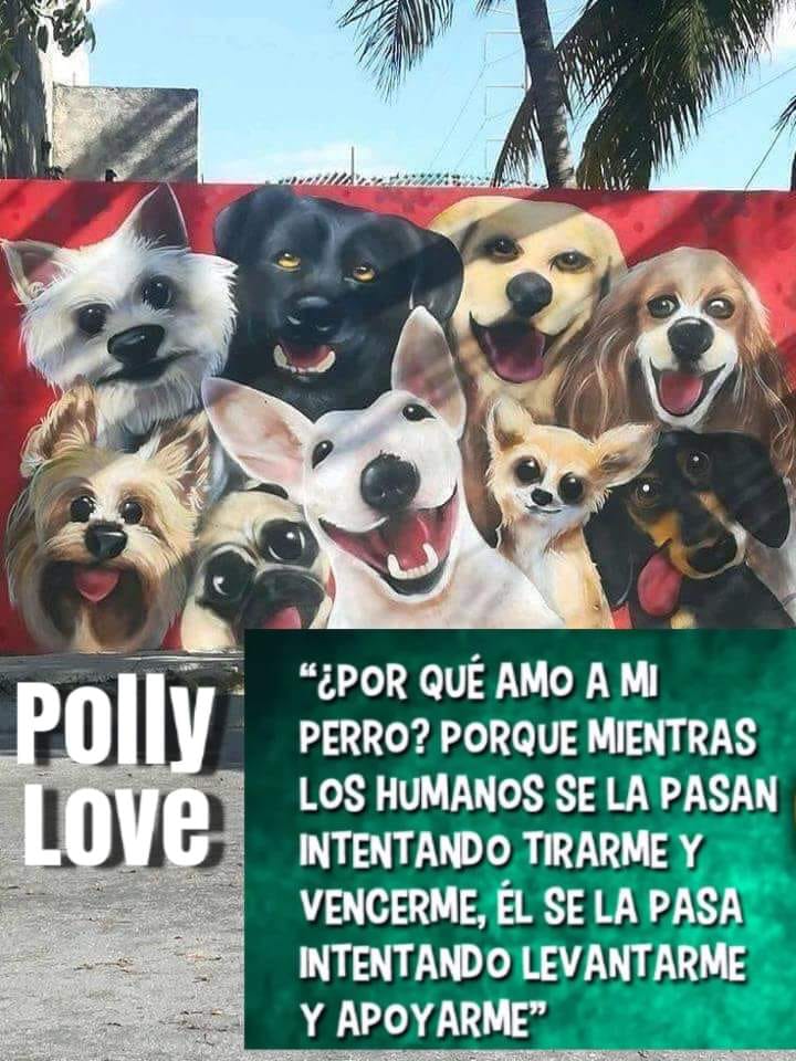 470221725_1097756335164064_5207021955091940124_n