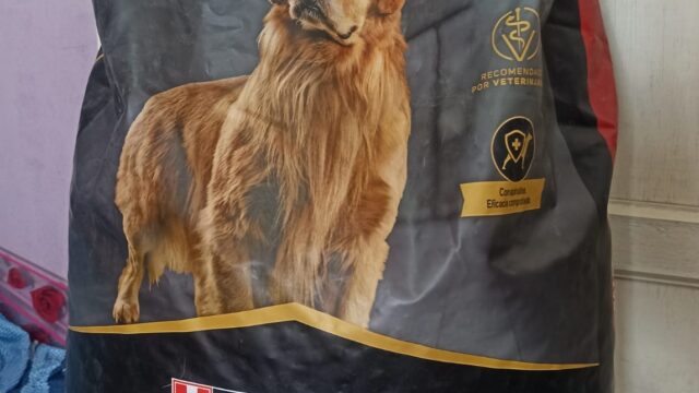 470793521_607086955176968_3423278037013388477_n