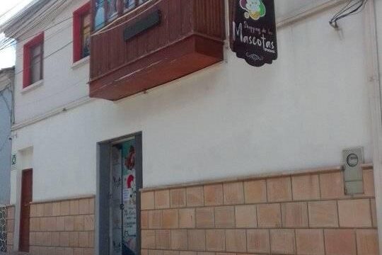 471155900_1709720499598560_6130614035401131378_n