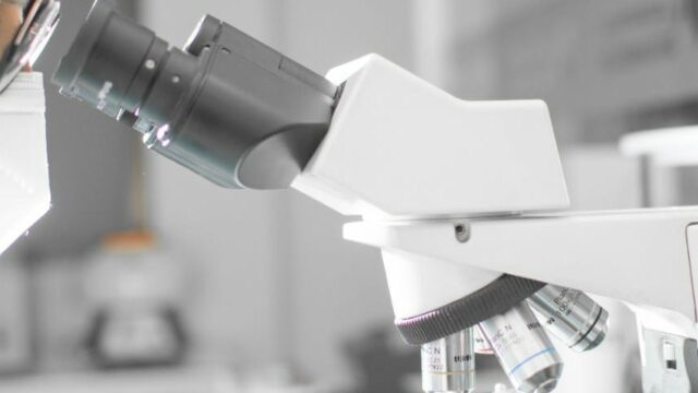 472097903_565508349620950_6788227573906401408_n