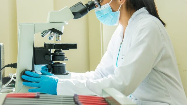 472518156_566848662820252_2945199076834819840_n