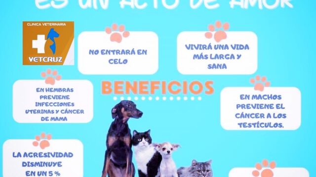 472663383_586334634153204_6205373784391331484_n