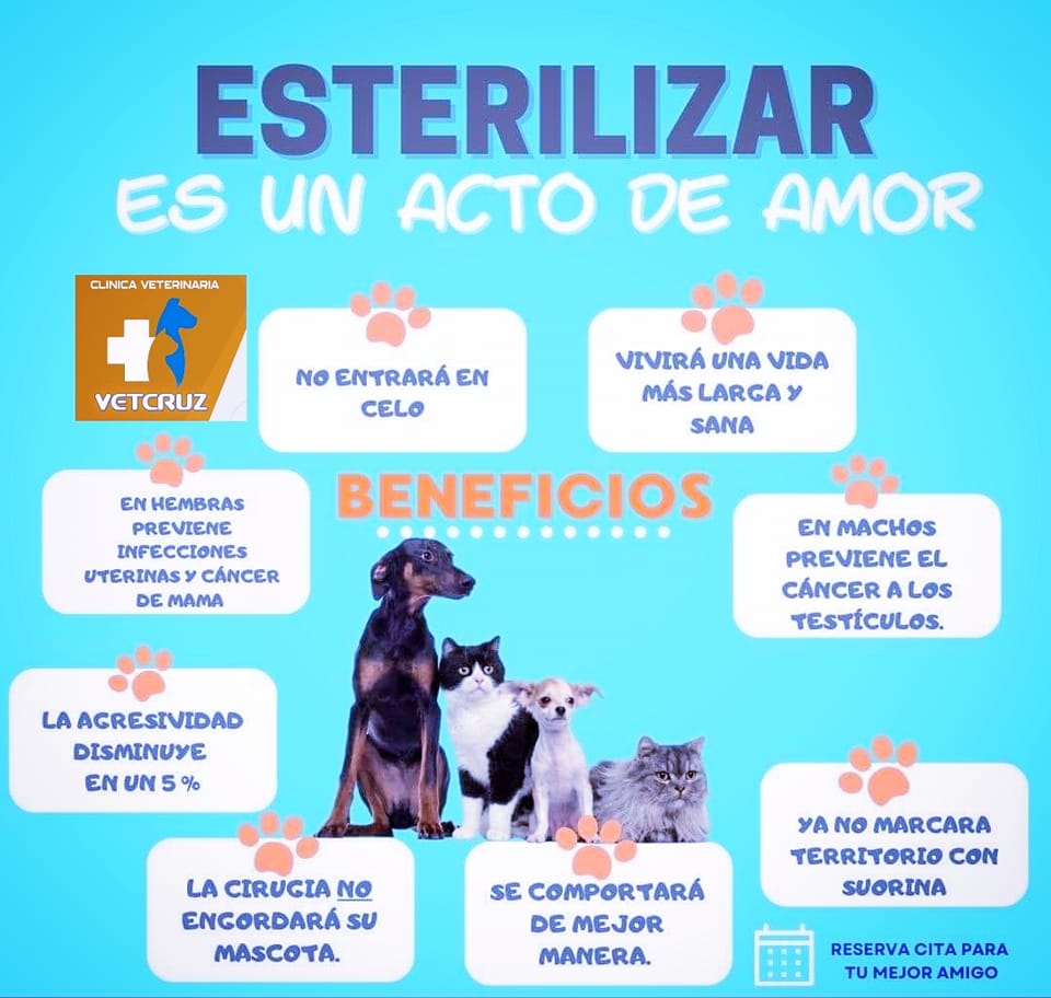 472663383_586334634153204_6205373784391331484_n